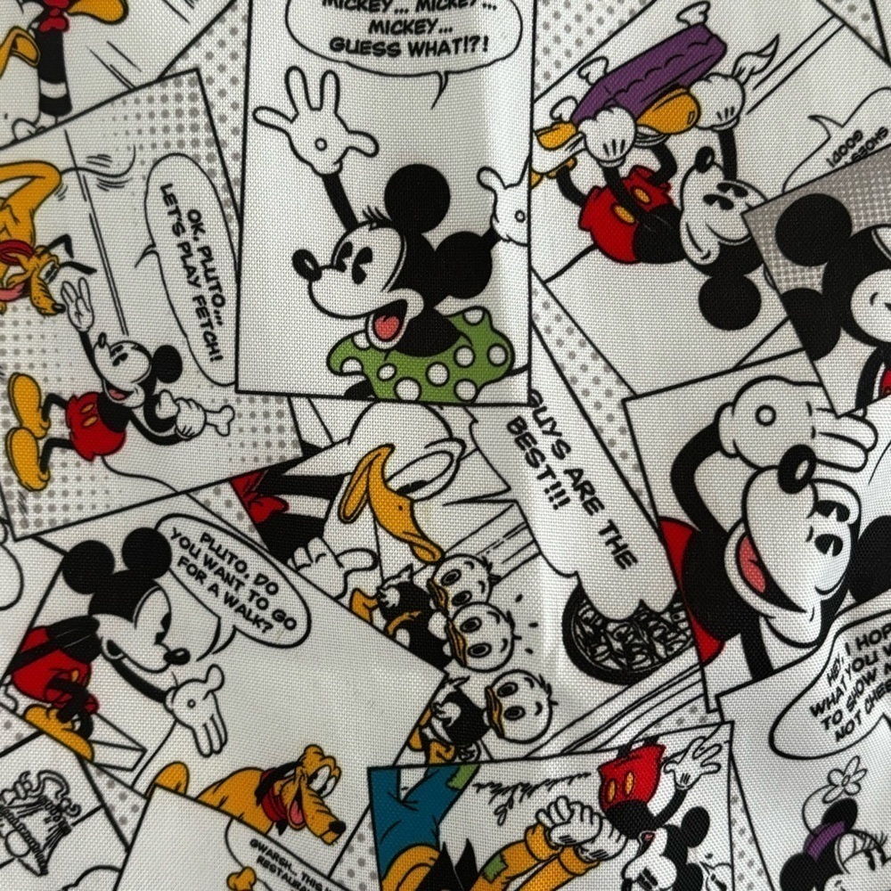 Disneyland cinch backpack